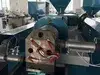 Triple Screw Extruder
